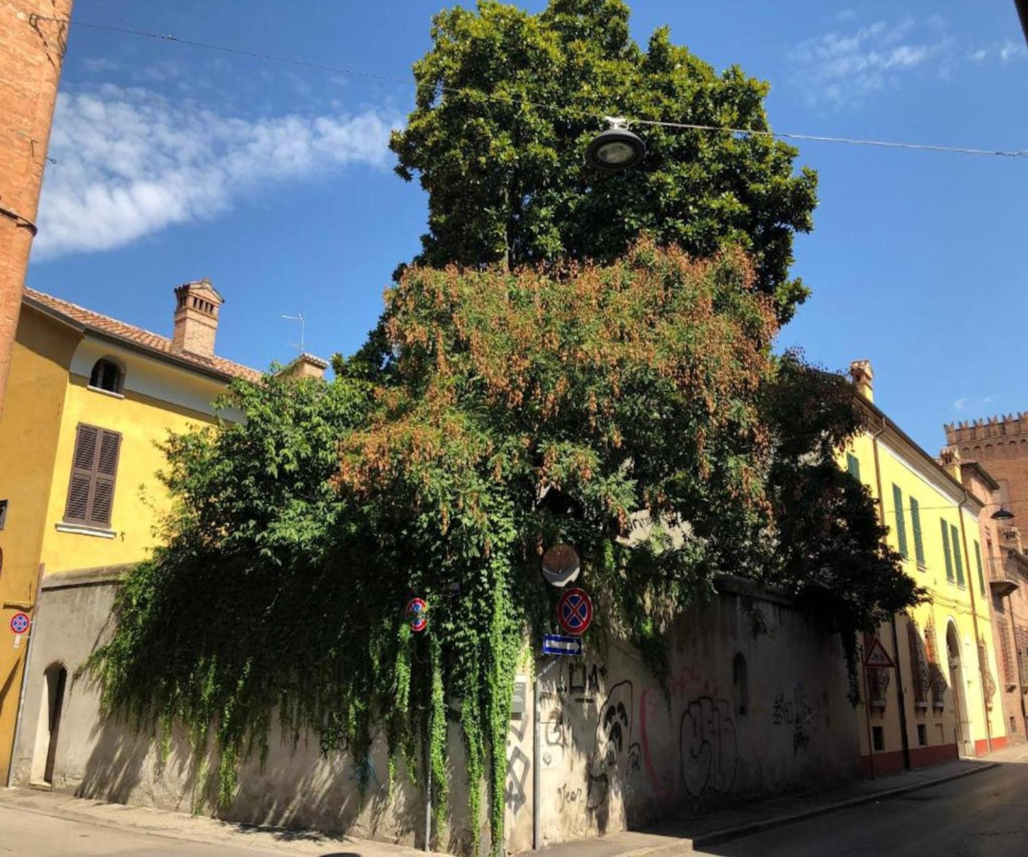 Il Giardino Segreto Apartment Ferrara Exterior photo